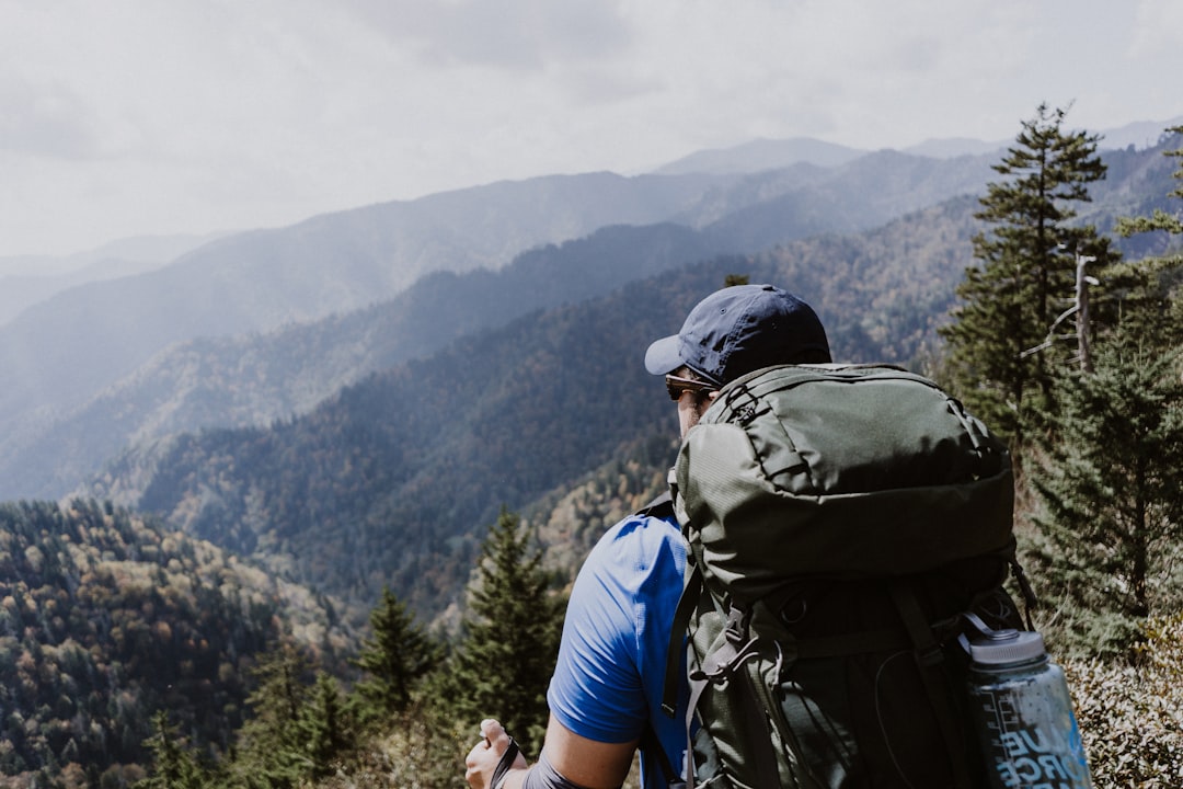 Great Smoky Mountains: America's Most Visited Death Zone (Image Credits: Unsplash)