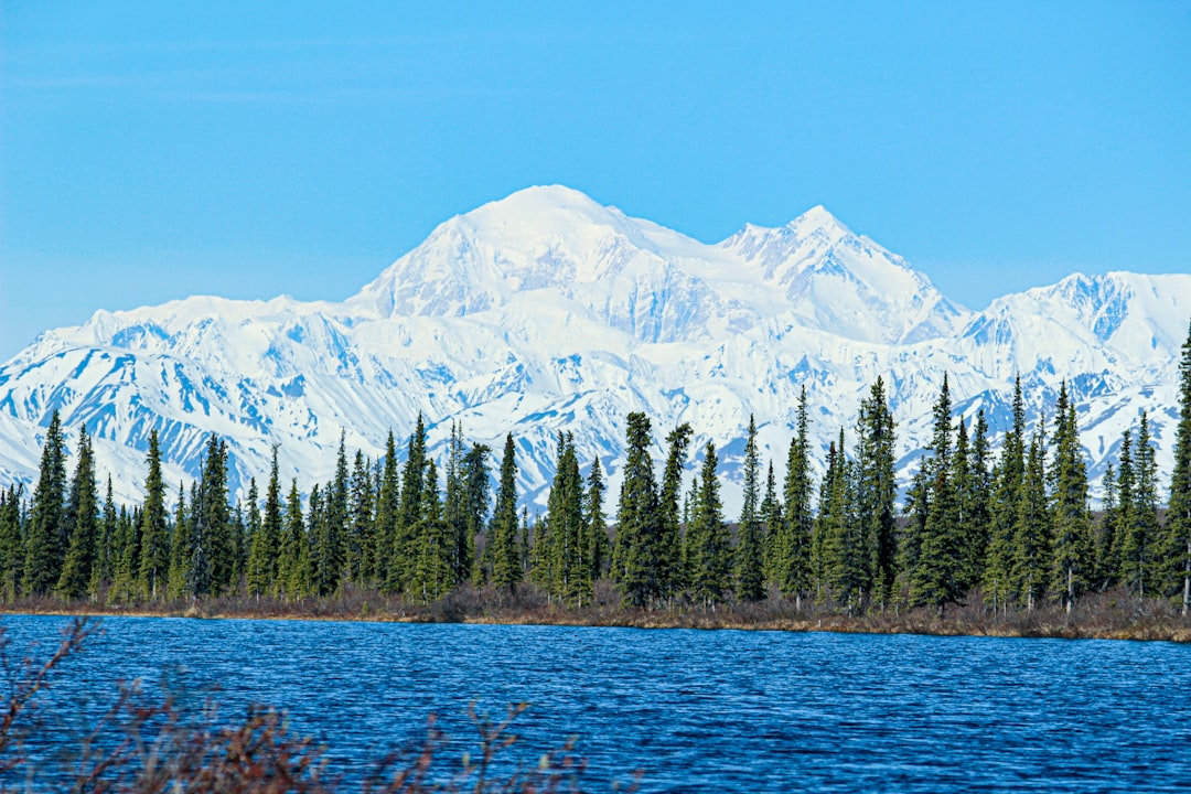 Denali National Park: Alaska's Wilderness Killer (Image Credits: Unsplash)