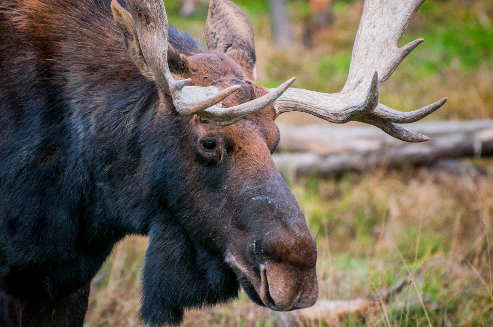The Reality Check Every Outdoor Enthusiast Needs (Image Credits: Stocksnap)