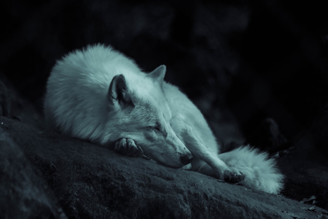 Grief That Matches Our Own (Image Credits: Unsplash)