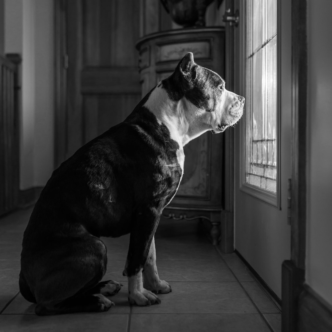 Pre-Arrival Behavioral Changes (Image Credits: Unsplash)