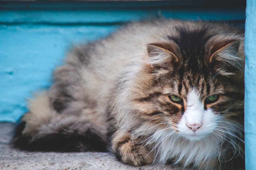 The Unanswered Questions That Keep Scientists Awake (Image Credits: Unsplash)