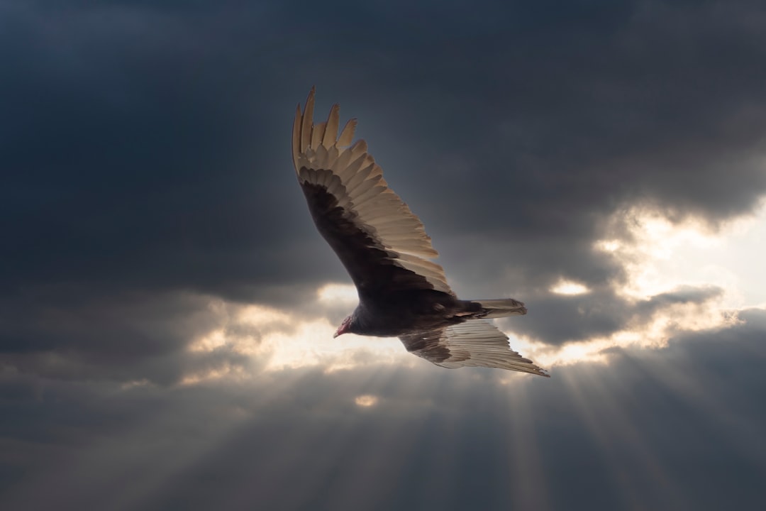 You're Receiving Messages from Higher Realms (Image Credits: Unsplash)