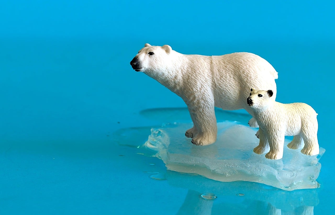 When Sea Ice Becomes a Death Sentence (Image Credits: Pixabay)