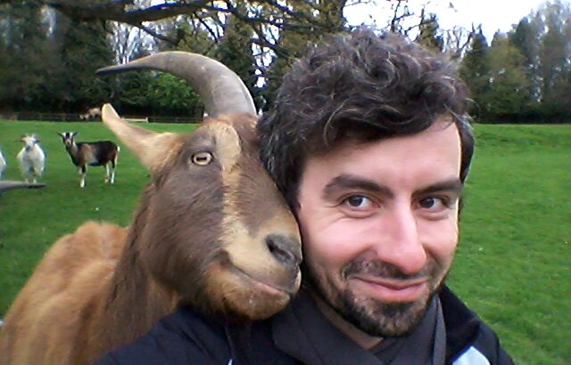 What Animals Know About Empathy That We Still Don’t Understand