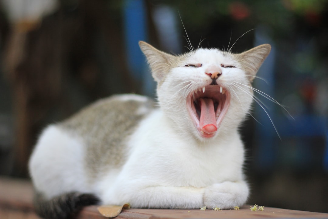 Vocal Cues and Emotional Intelligence