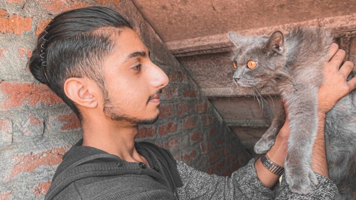 Does Your Energy Attract Certain Animals? The Hidden Science Behind It