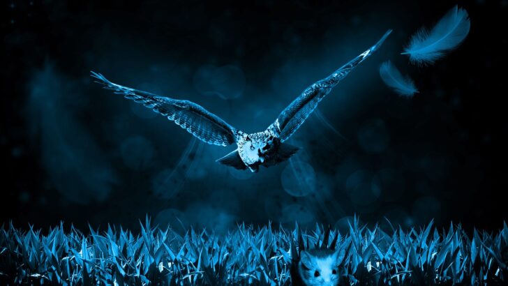 How Owls See in the Dark — and What It Reveals About Evolution