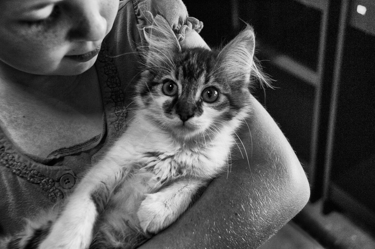 The Role of Early Bonding and Socialization