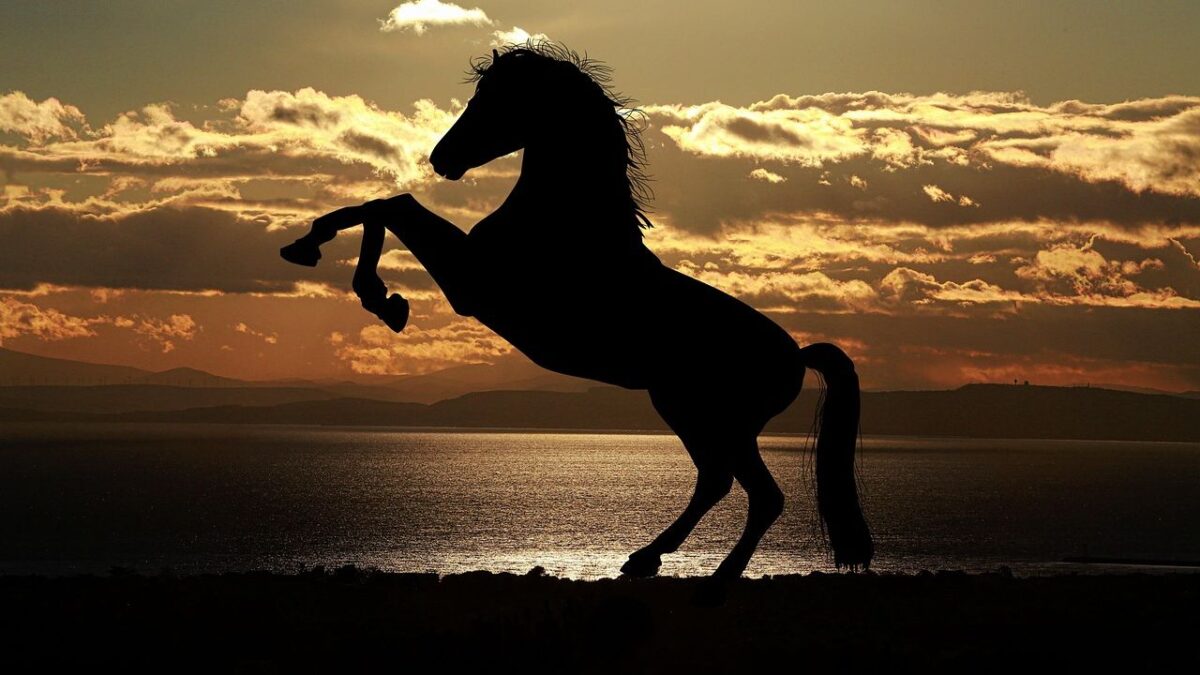 Why Every Person Has a "Shadow Animal" That Reflects Their Fears