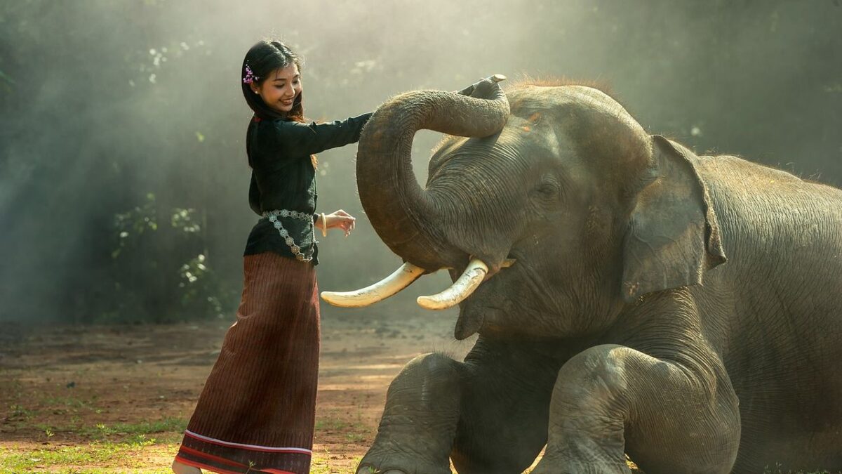 Why Do Some People Attract Wild Animals More Than Others? Biologists Weigh In