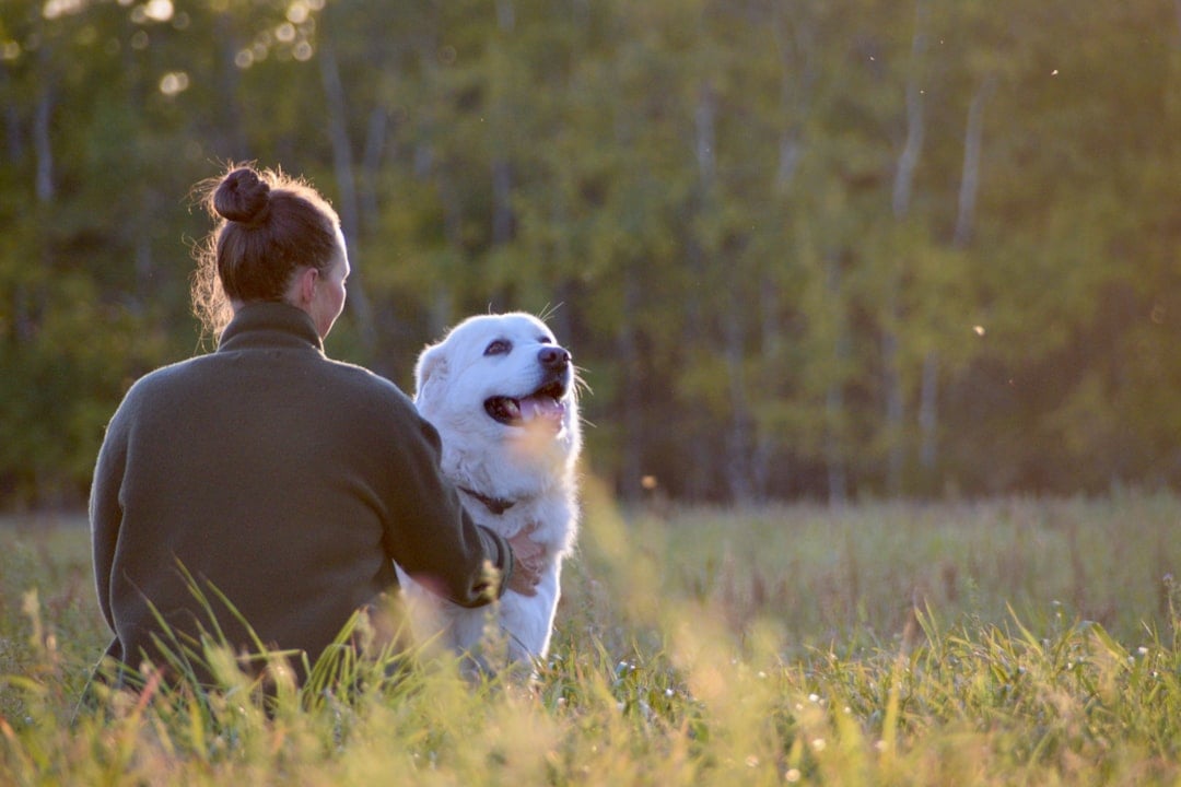 How Empathy Turns a Stubborn Dog Into a Listener