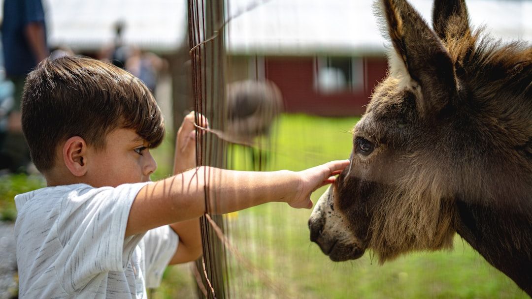 Why Modern Schools Miss the Mark on Native American Animal Wisdom