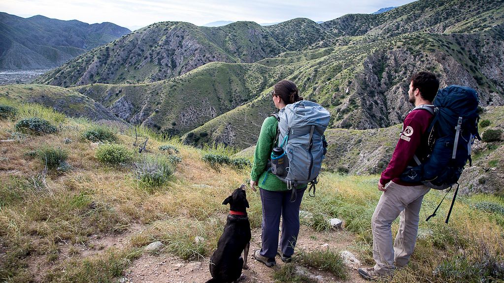 10 Iconic American Trails for Wildlife Encounters