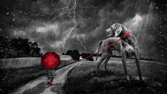 7 Ways to Help Your Dog Cope with Thunderstorms