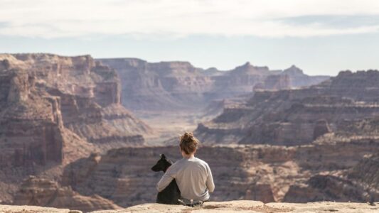 12 Best Dog-Friendly Road Trip Tips