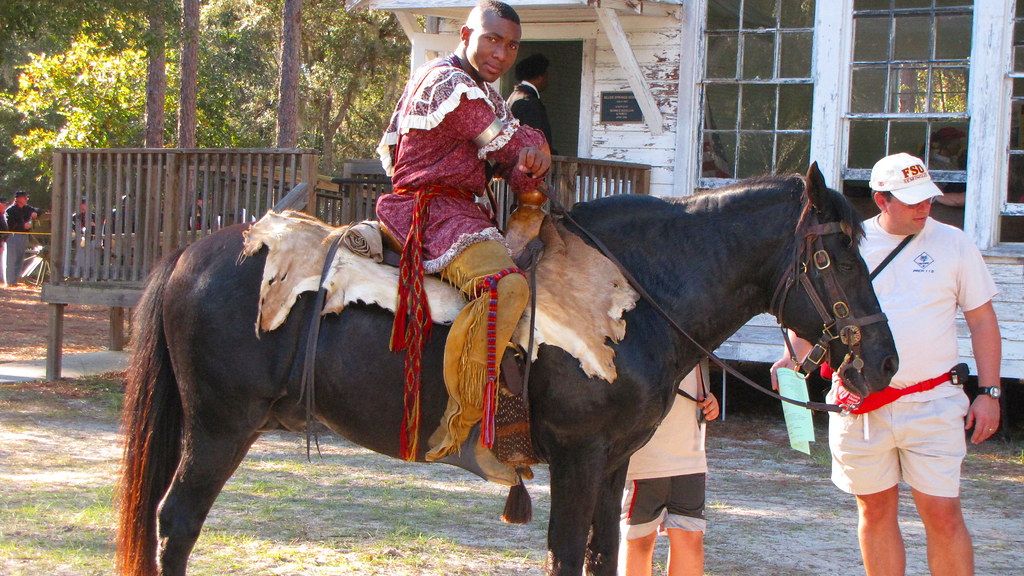 What The Horse Means to Native American Indians as a Spirit Animal