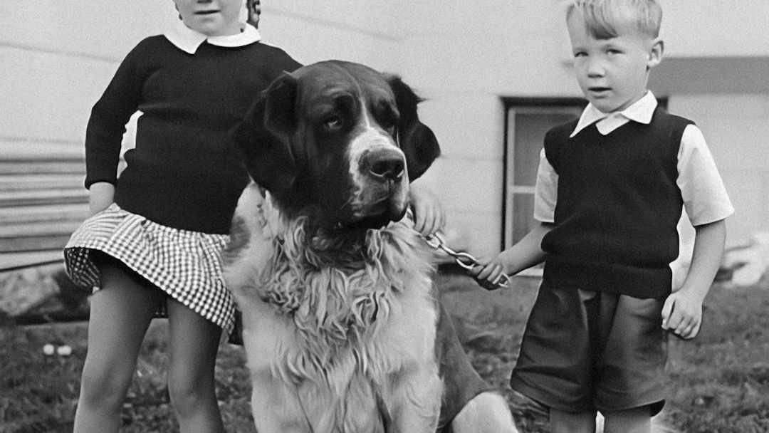 5 Dog Breeds That Are Surprisingly Good with Kids