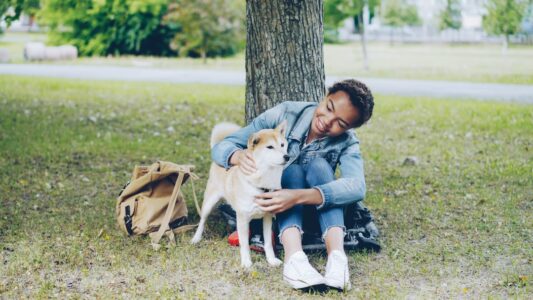 Why Dogs Feel Safer When You Speak Softly