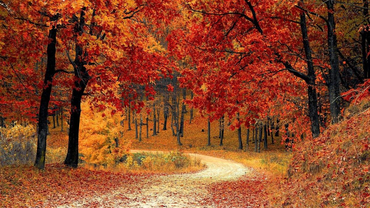 6 Stunning Hiking Trails In Washington