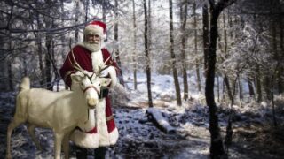 The History Behind Santa's Reindeer