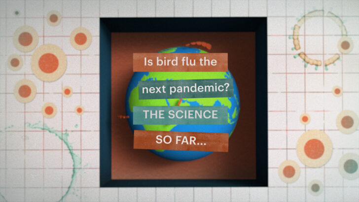 H5N1’s Rising Threat: Decoding the Science Behind a Potential Bird Flu Pandemic