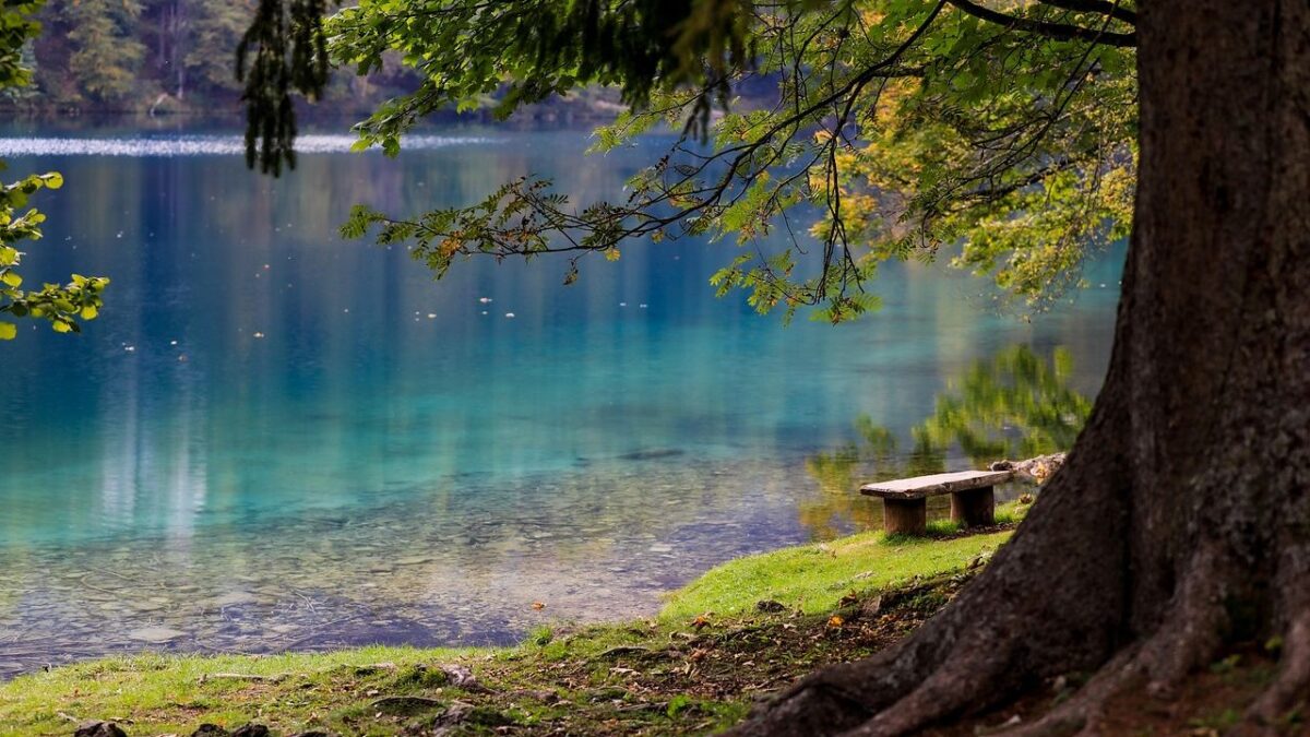 6 Facts About South Carolina's Lake Jocassee