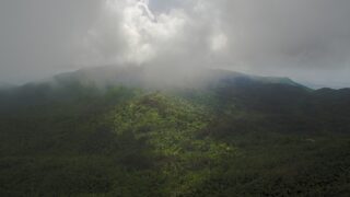 10 Incredible Rainforests You Can Find in the US
