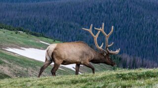10 Mind-Blowing Facts About the Rocky Mountains