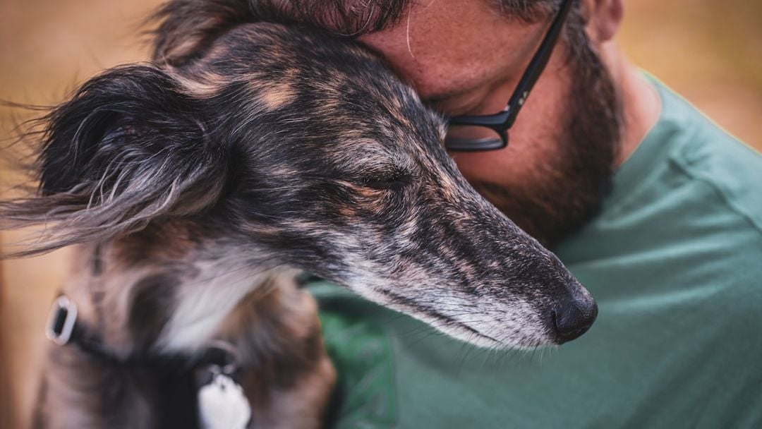 The Emotional Toll of Saying Goodbye to a Beloved Pet is Profound