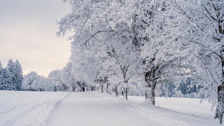 Arctic Surge Ahead: Forecasts Signal Extended Cold Wave for U.S. and Canada in Early 2026
