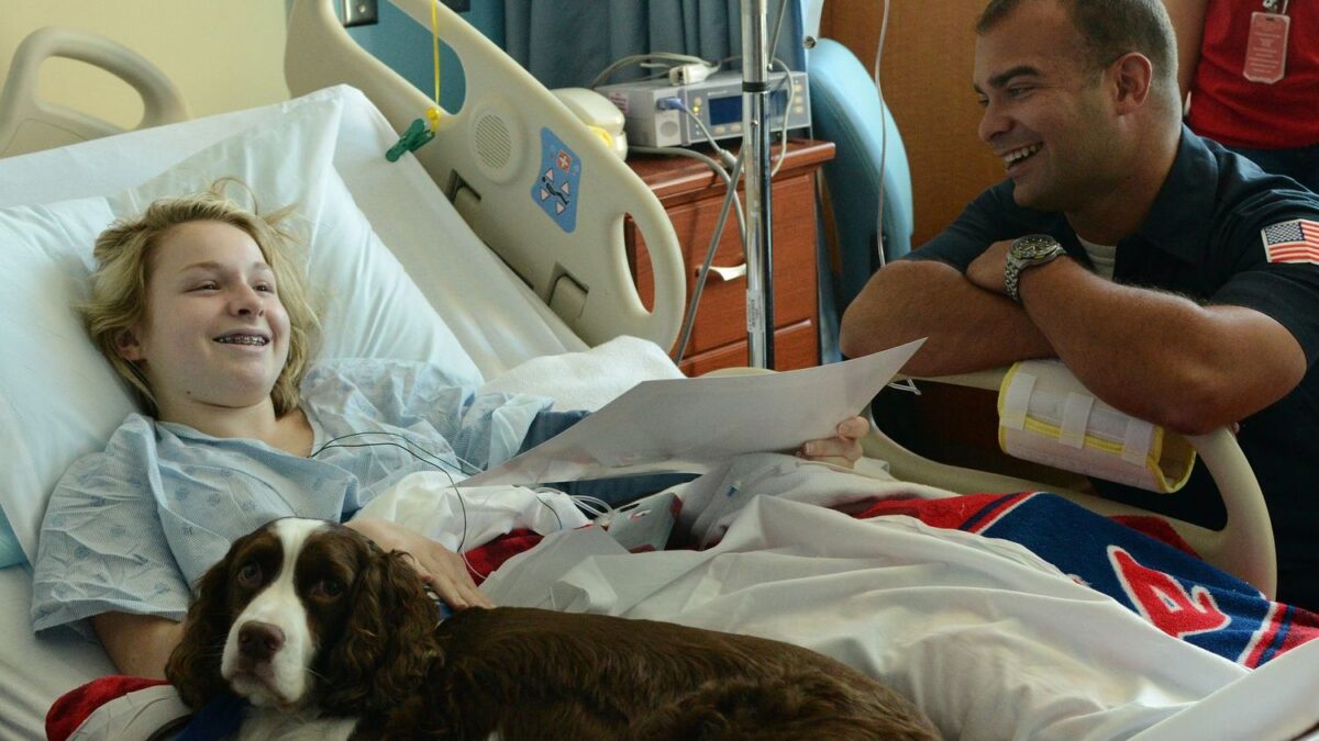 The Unseen Heroes: How Therapy Animals Make a Real Difference
