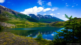 12 Exotic US Destinations Where Wildlife Thrives Beyond Your Wildest Dreams