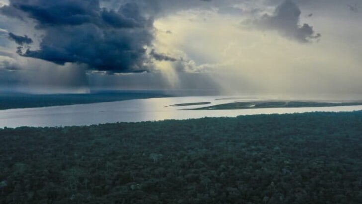 Latin America’s Biodiversity Battle: Crime and Extraction Challenge 2025 Conservation Efforts