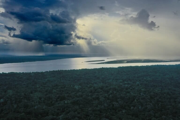 Latin America in 2025: Conservation promises collide with crime and extraction
