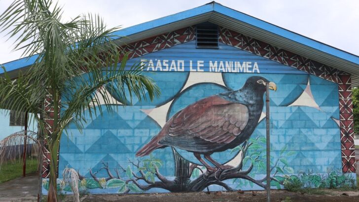 Back From the Brink: Elusive Dodo Relative Spotted in Samoan Rainforest
