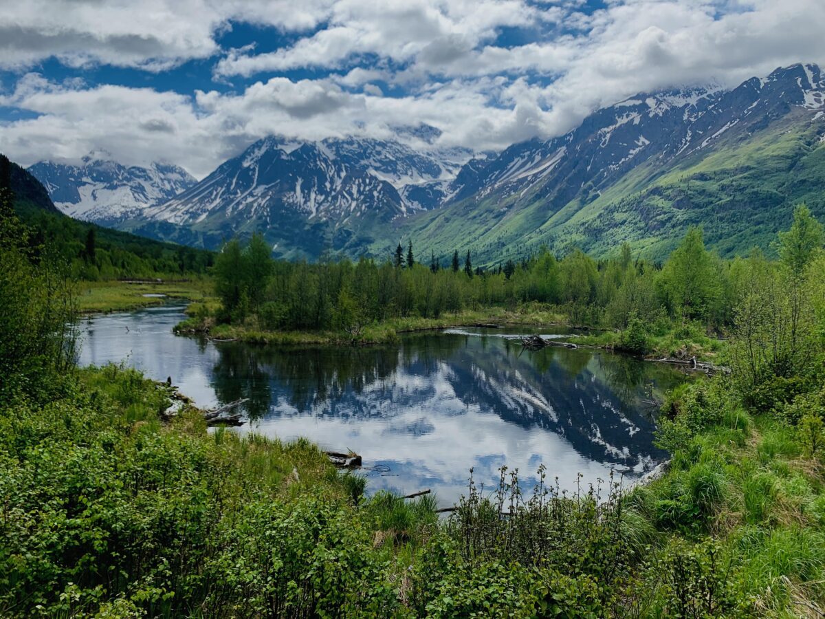 Chugach National Forest: Alaska's Sub-Polar Wonder