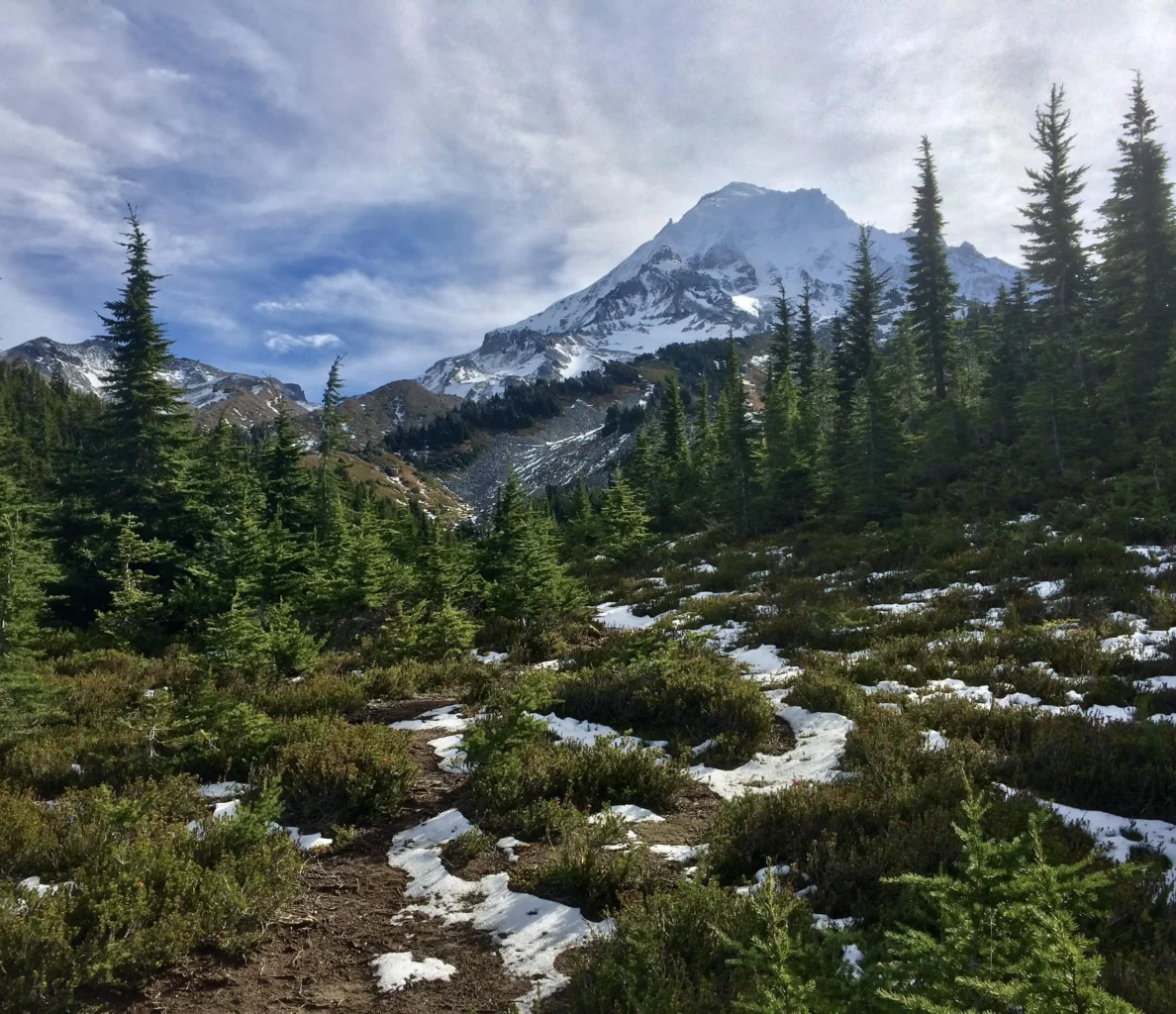 Mount Hood's Temperate Rainforest: Oregon's Mossy Slopes