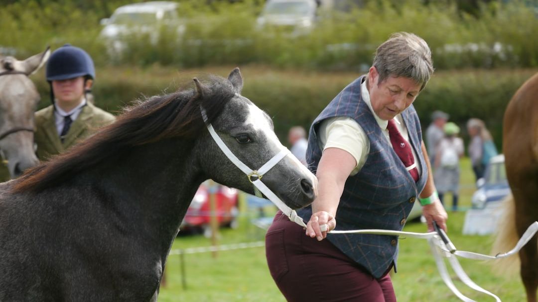 How Much Should You Ride an Older Horse?