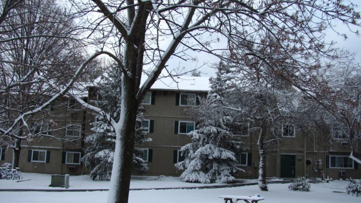 Arctic Blast Slams the Mid-Atlantic, Ushering in a Frigid Start to 2026