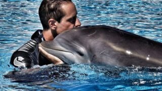 Ancient Animal Spirits Guide Your Zodiac Sign's Destiny
