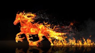 What It Means To Be Born In the Year of The Horse According to the Chinese Zodiac