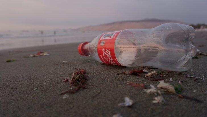 Plastic Waste From Big Brands Like Coca Cola Is Choking Ocean Ecosystems Worldwide