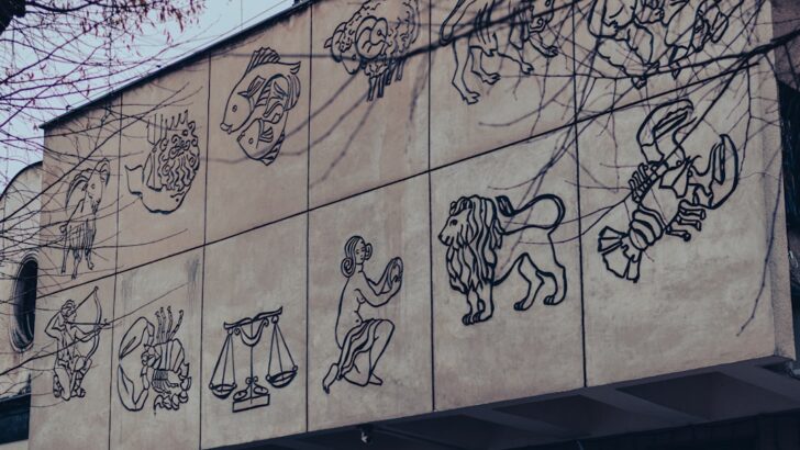 The Best Day for Every Zodiac Sign from January 12 to 18, 2026