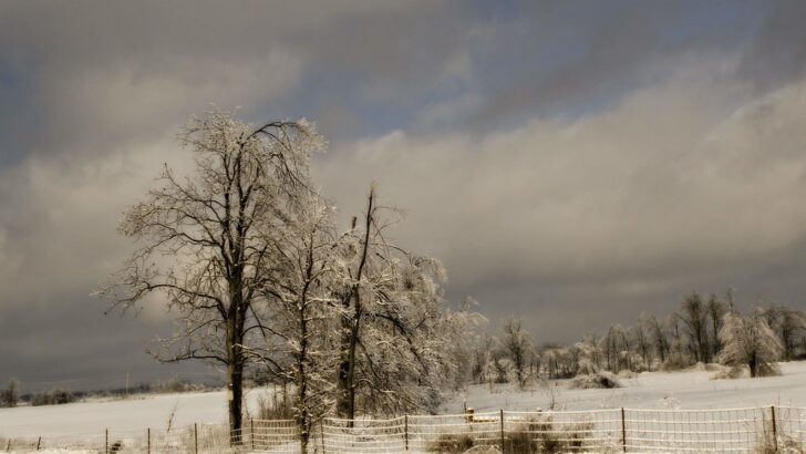 A Fleeting Springlike Weather Warms the US Before Stormier Days Return