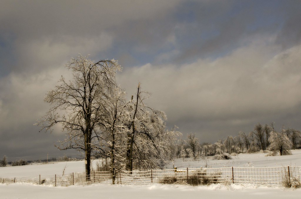 A Major Springlike Storm Is on the Move. Here’s What to Expect.