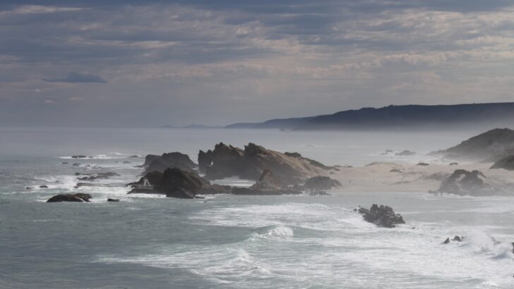 Ocean Guardianship Advances As 2025 Sees Notable Gains in Marine Protection Efforts