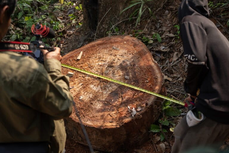 Environmental crime prevention is moving into the diplomatic mainstream (commentary)