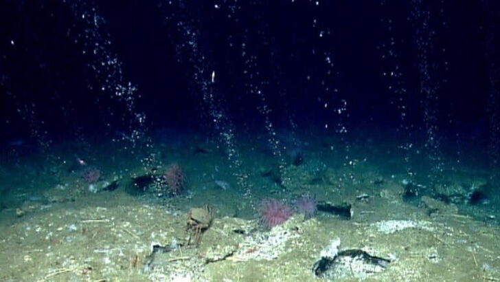 Seafloor Methane Hunters are Probing a Hidden Climate Threat Beneath the Waves