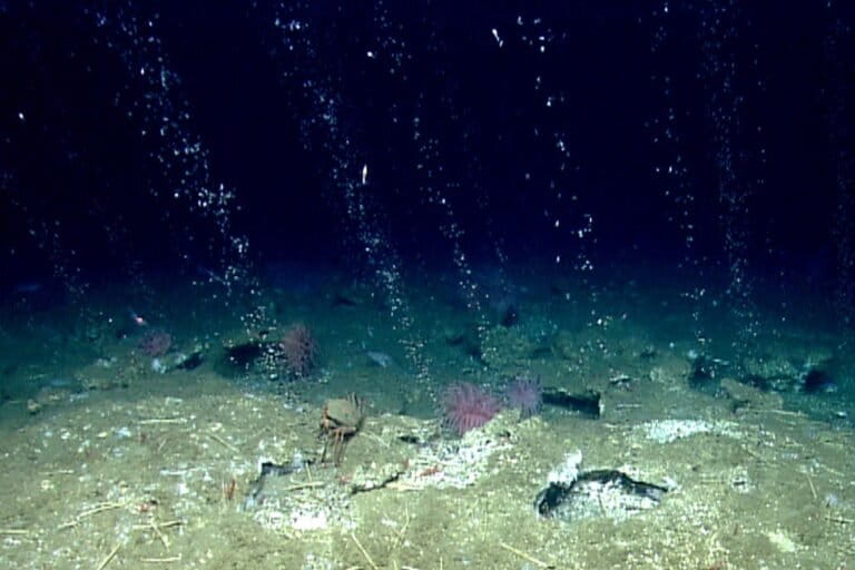 Methane chasers: Hunting a climate-changing gas seeping from Earth’s seafloor
